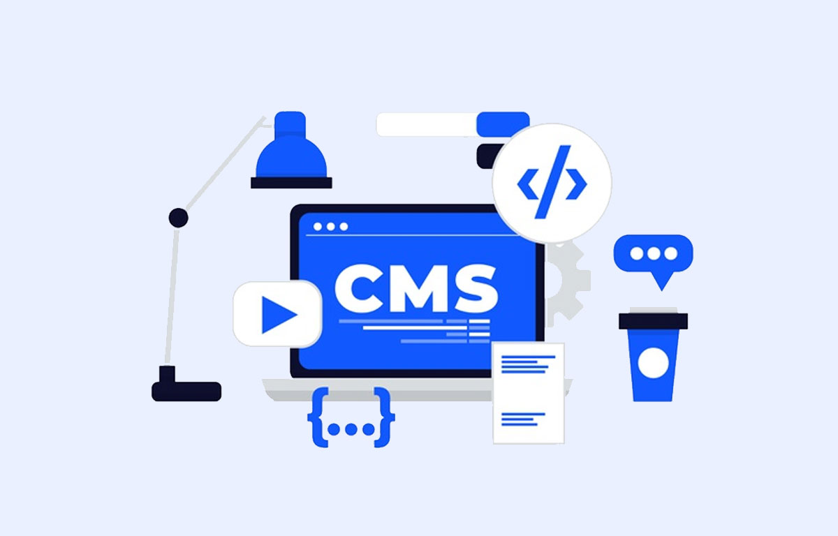 Website Designing Company Helps You to Build the CMS /LMS Website